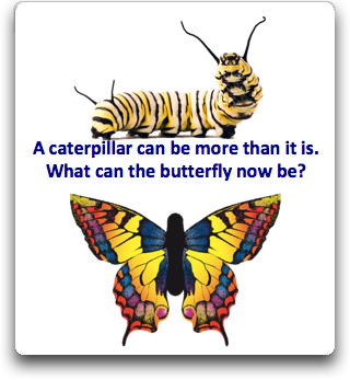 Poem on Caterpillars and Butterflies